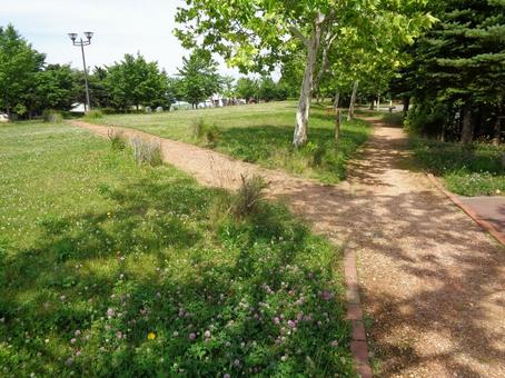 赤砂利の小道 赤砂利の小道の写真
