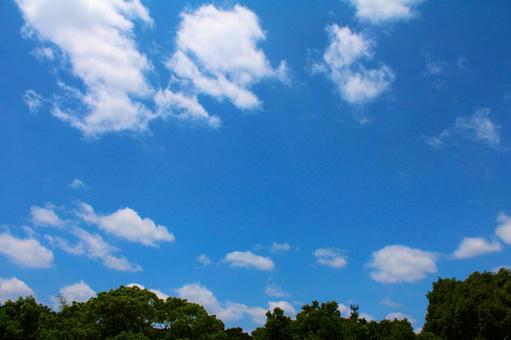 Photo, blue sky, sky, cloud, 