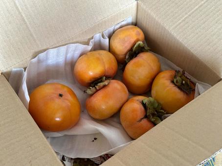 送られてきた柿 甘い食べ物,フルーツ,オレンジの写真素材