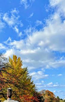 美しい景色 美しい景色 美しい景色,青空,秋の空の写真素材