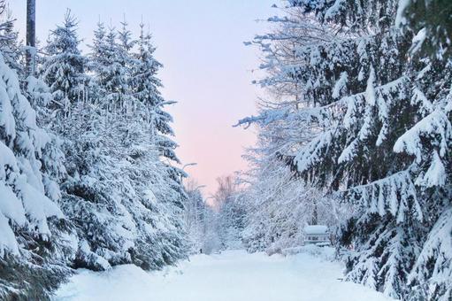 北欧　雪化粧した道 雪,大雪,積もるの写真素材