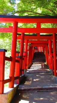 島根県-太鼓谷稲成神社-表参道 島根県-太鼓谷稲成神社-表参道 太鼓谷稲成神社,神社,表参道の写真素材