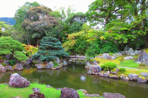 京都府-醍醐寺-三宝院-庭園 京都府-醍醐寺-三宝院-庭園の写真