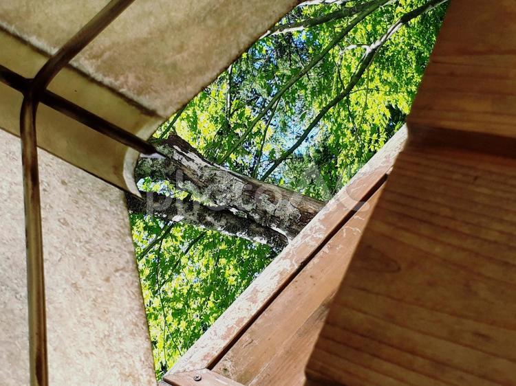 木漏れ日 木漏れ日,日の光,緑の写真素材
