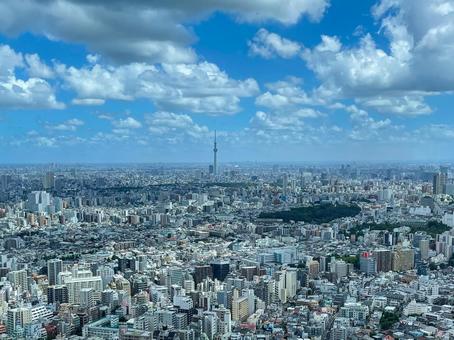 東京　広域の構図 東京,東京スカイツリー,広域の写真素材