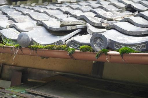 瓦がずれ雨樋が詰まった屋根 瓦がずれ雨樋が詰まった屋根 瓦屋根,雨漏り,雨樋の写真素材