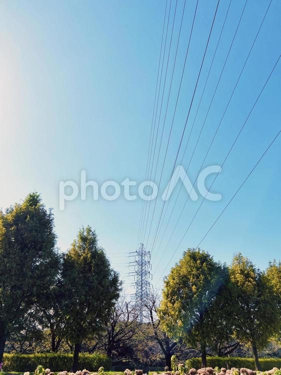 鉄塔と木々と青空 送電線,鉄塔,電線の写真素材