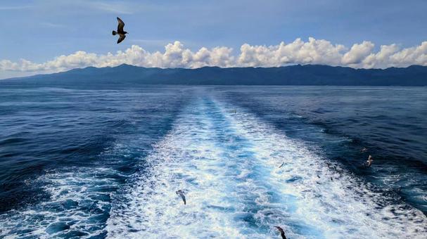 船からの景色 船からの景色 海,船,空の写真素材