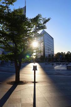 7月下旬の早朝の高松駅前からの朝日 7月下旬の早朝の高松駅前からの朝日の写真