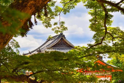 新緑に包まれる城 新緑に包まれる城の写真