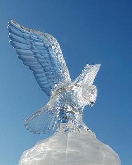 輝く翼 自然,風景,鷲の写真素材