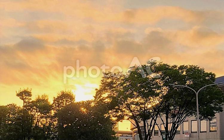夕焼けの空 夕焼け,木々,空の写真素材