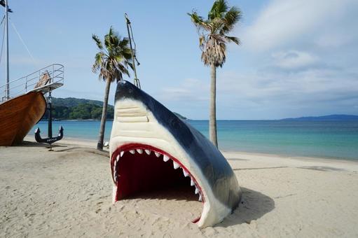 福岡 糸島 サメのオブジェ  サメのオブジェ,サメの頭,サメの写真素材