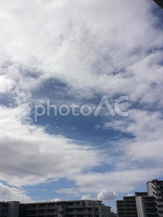 夏の空 夏,空,暑い夏の写真素材