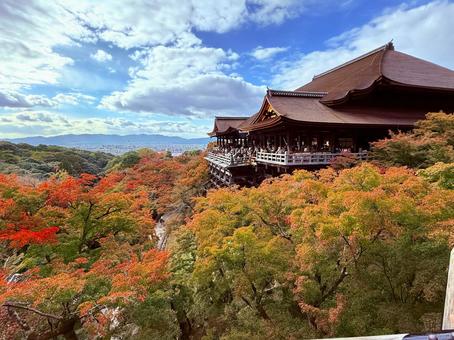 清水の舞台/紅葉/京都/秋 清水の舞台/紅葉/京都/秋 清水の舞台,清水寺,紅葉の写真素材
