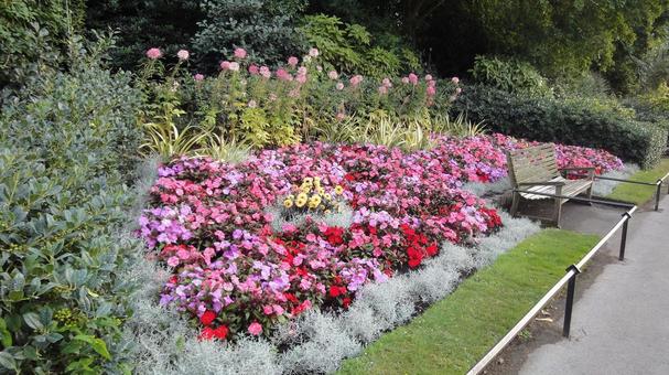 ピンクの花壇 ピンクの花壇の写真