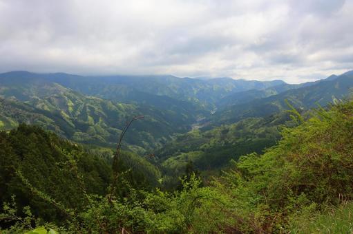 Photo, mountain, shikoku, green, 