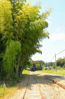 線路と竹林 竹林,線路,風景の写真素材