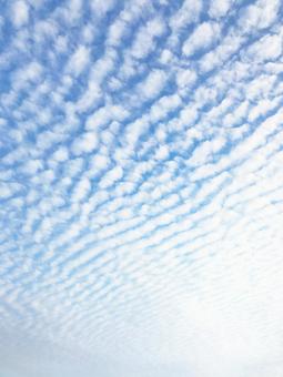 Blue sky, scale clouds all over, JPG Blue sky, scale clouds all over, scales of clouds, scale clouds, cloud, JPG
