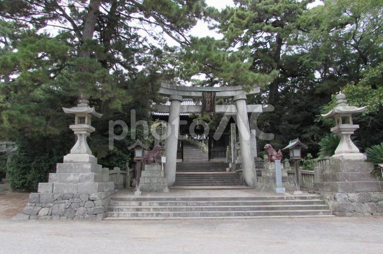 琴彈八幡宮　随神門 琴彈八幡宮,琴弾公園,香川県の写真素材