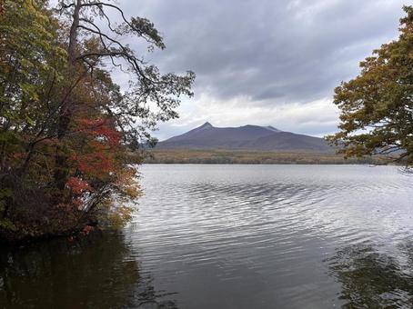 秋の大沼６ 紅葉,もみじ,大沼の写真素材