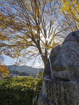 飛鳥資料館の石人像と黄葉に輝く秋の風景 飛鳥資料館,石人像,レプリカの写真素材