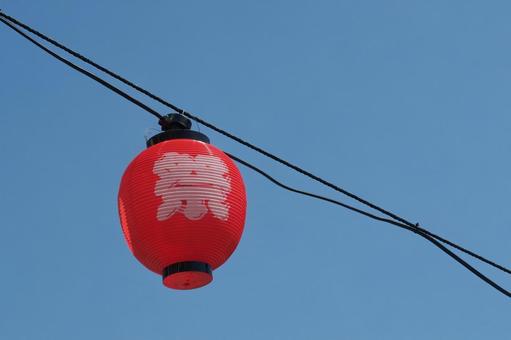 提灯(祭) 提灯(祭)の写真