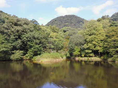 真夏の甲山ミクルマ池 真夏の甲山ミクルマ池の写真