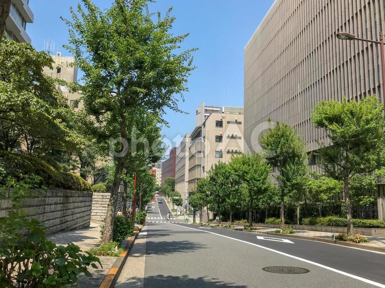 千代田区麹町の街並み 千代田区,麹町,半蔵門の写真素材