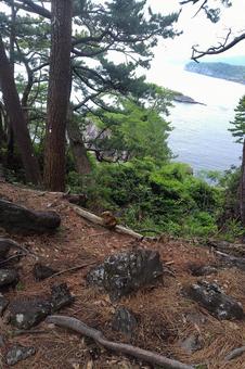 一碧湖1 一碧湖1 湖,自然,森の写真素材
