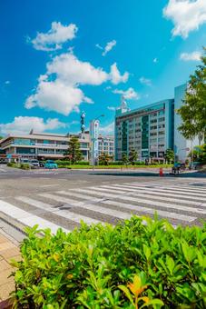 【鳥取】鳥取駅の周辺 鳥取,鳥取駅,駅前の写真素材