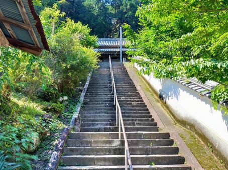二十二番札所平等寺 二十二番札所,平等寺,階段の写真素材