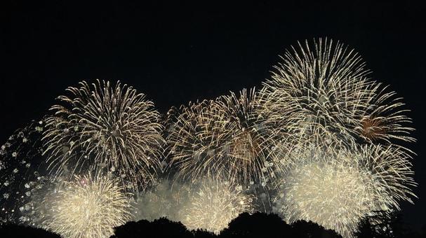 Fireworks filling the summer sky, JPG Fireworks filling the summer sky, JPG