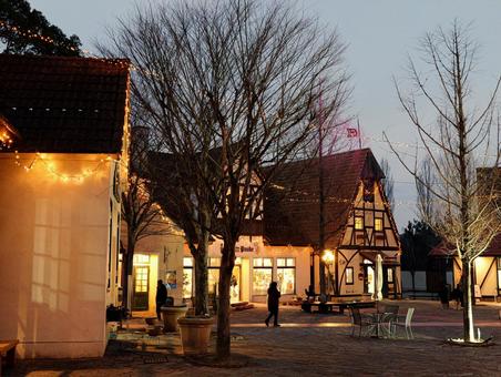 ドイツの森の写真