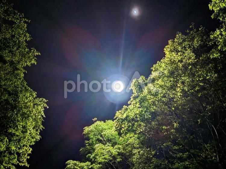 新緑の街路樹と光の幻想的夜景 夜景,新緑,夜空の写真素材