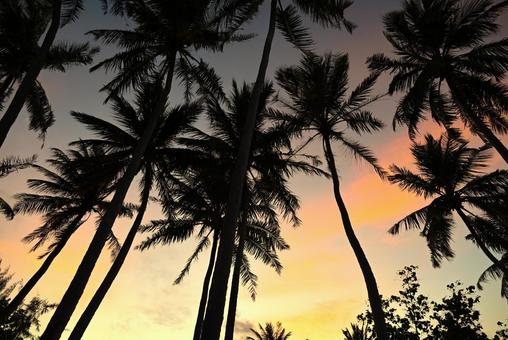 リゾート感あふれるモルディブの美しい夕景 リゾート感あふれるモルディブの美しい夕景の写真