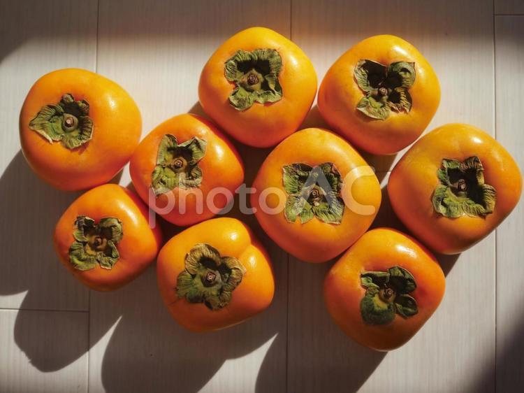 たくさんの柿たち 柿,秋,カキの写真素材