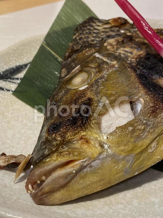 フエフキダイのお頭01 鯛のお頭,焼き魚,魚の写真素材
