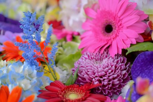 花手水 花手水の写真