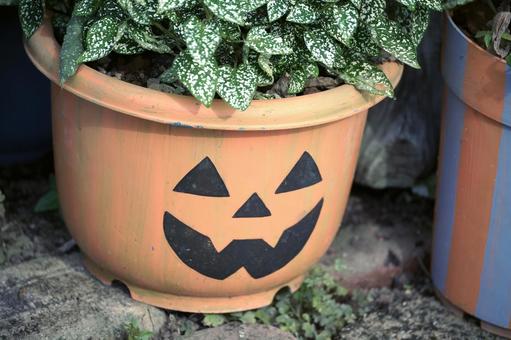 カボチャの顔のハロウィン植木鉢 カボチャの顔のハロウィン植木鉢 ハロウィン,カボチャ,ジャックオーランタンの写真素材