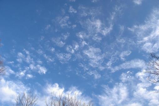 冬の青空と白い雲 空,青空,さわやかの写真素材
