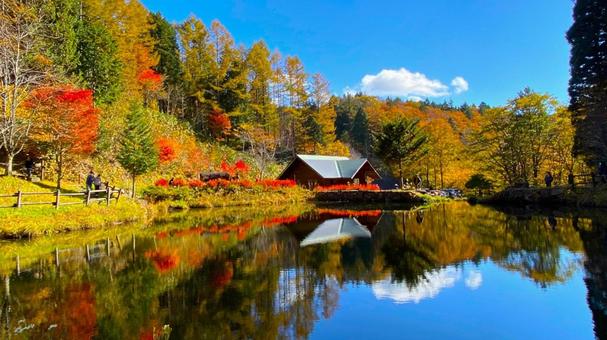 紅葉のせせらぎ街道 西ウレ峠:2 紅葉のせせらぎ街道 西ウレ峠:2の写真