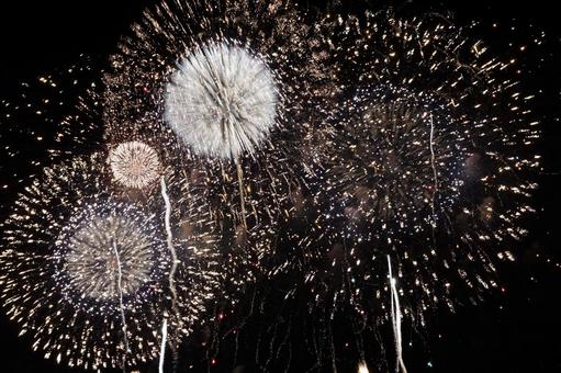 夏の夜空を彩る花火 夏の夜空を彩る花火の写真