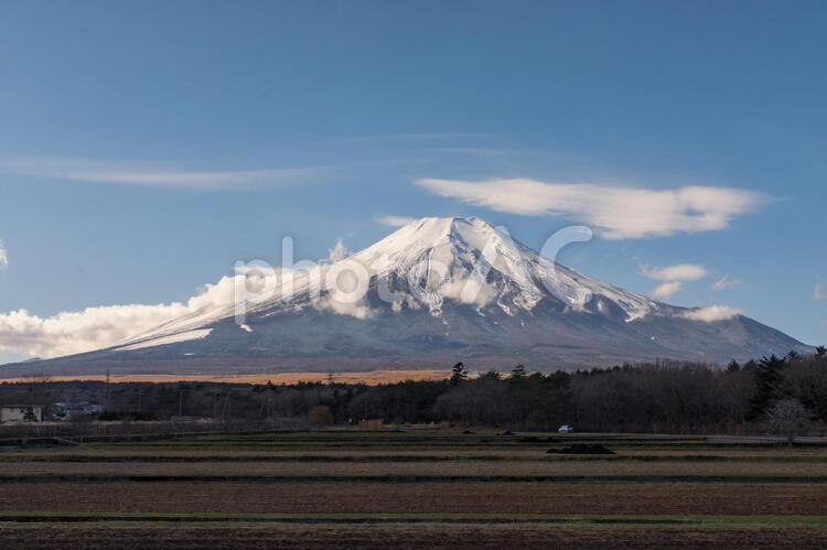 山中湖花の都公園からの富士山 山中湖花の都公園,富士山,景色の写真素材