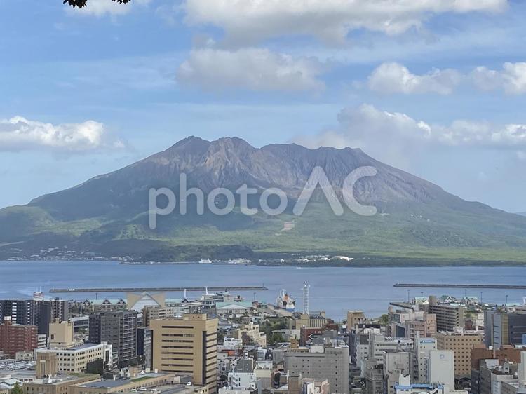 桜島と市街地 桜島,火山,山の写真素材