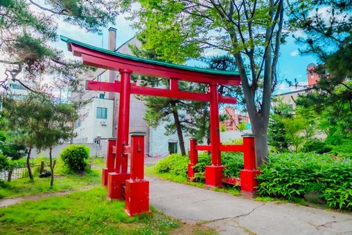 Photo, aomori, 2025, townscape, 