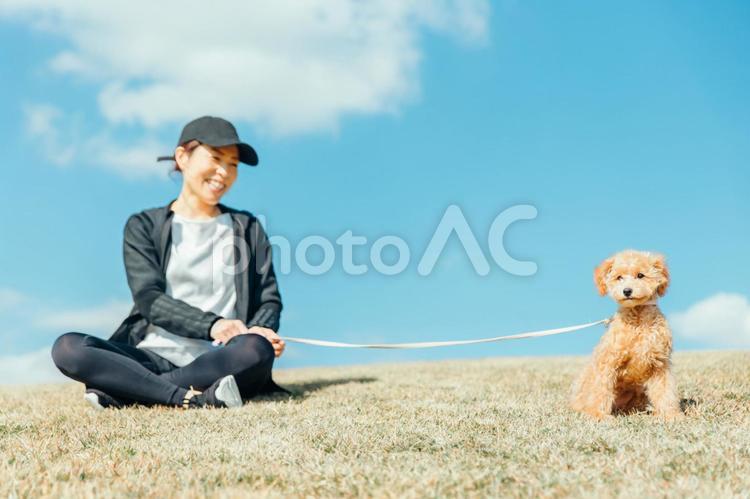 スポーツウェアで犬の散歩をする女性 犬,ペット,女性の写真素材