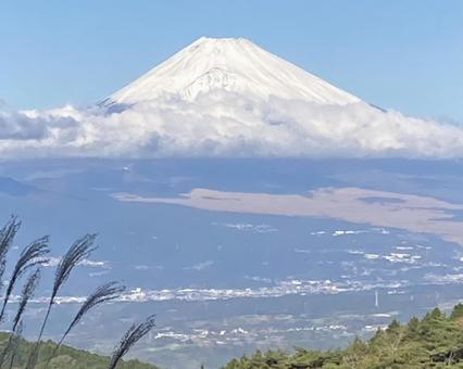 Snow-capped Mt. Fuji and silver grass, JPG Snow-capped Mt. Fuji and silver grass, JPG