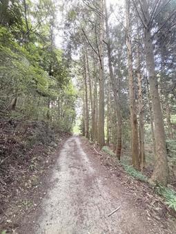 奥行きのある山道 奥行きのある山道の写真