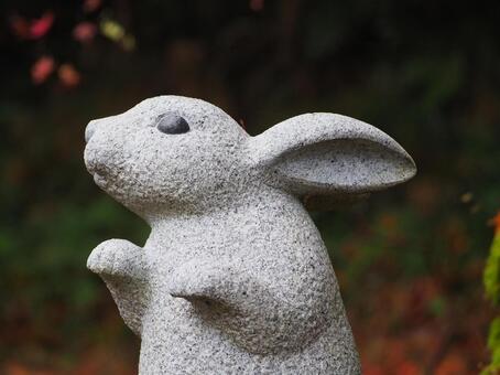 うさぎ3 うさぎ,秋,紅葉の写真素材